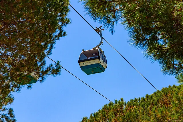 A cable car cabin gliding along its cable between pine trees in Parque das Nações